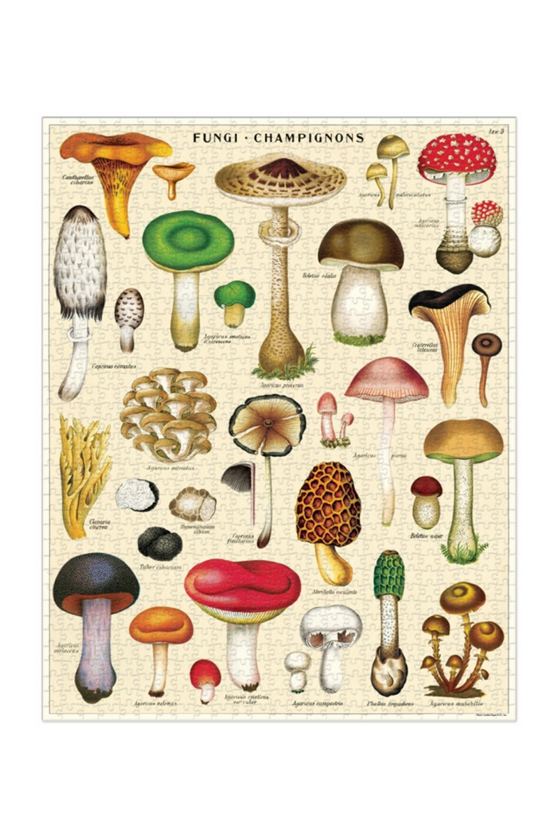 Mushrooms Vintage Puzzle-Cavallini & Co.-ECOVIBE