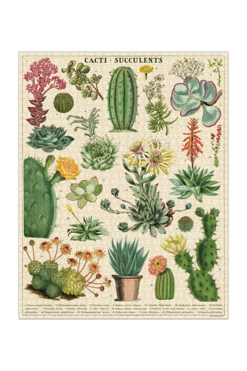 Cacti + Succulents Vintage Puzzle-Cavallini & Co.-ECOVIBE