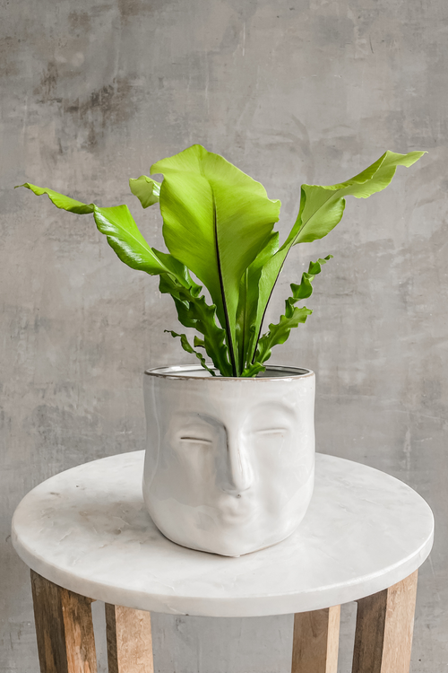 Portrait Ceramic Pot