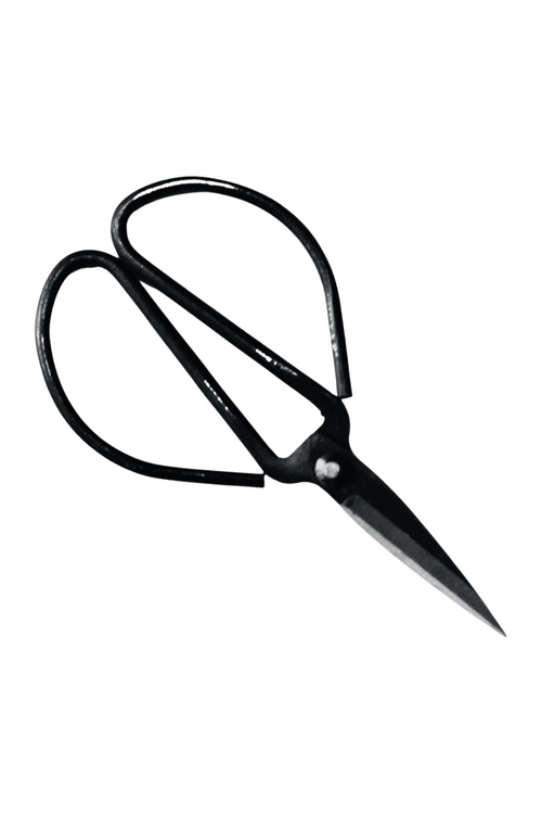 Forged Steel Pruners
