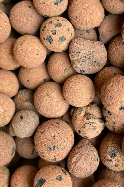 leca balls for succulents Sol Soils LECA Balls – ECOVIBE