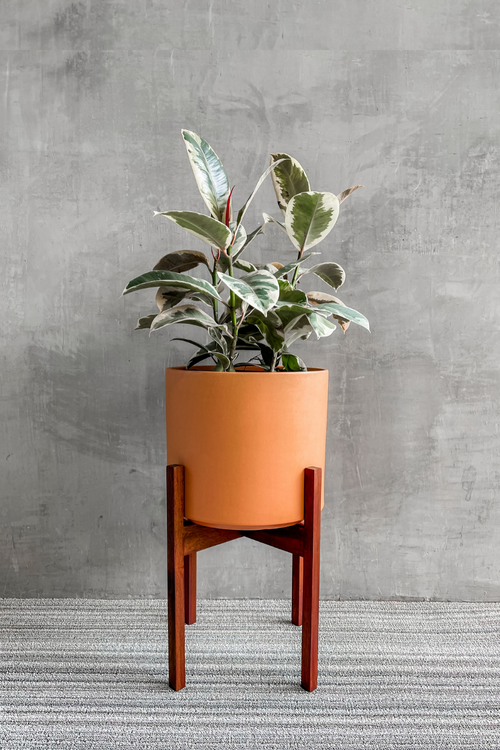 Solid Goods Dark Wood Plant Stand