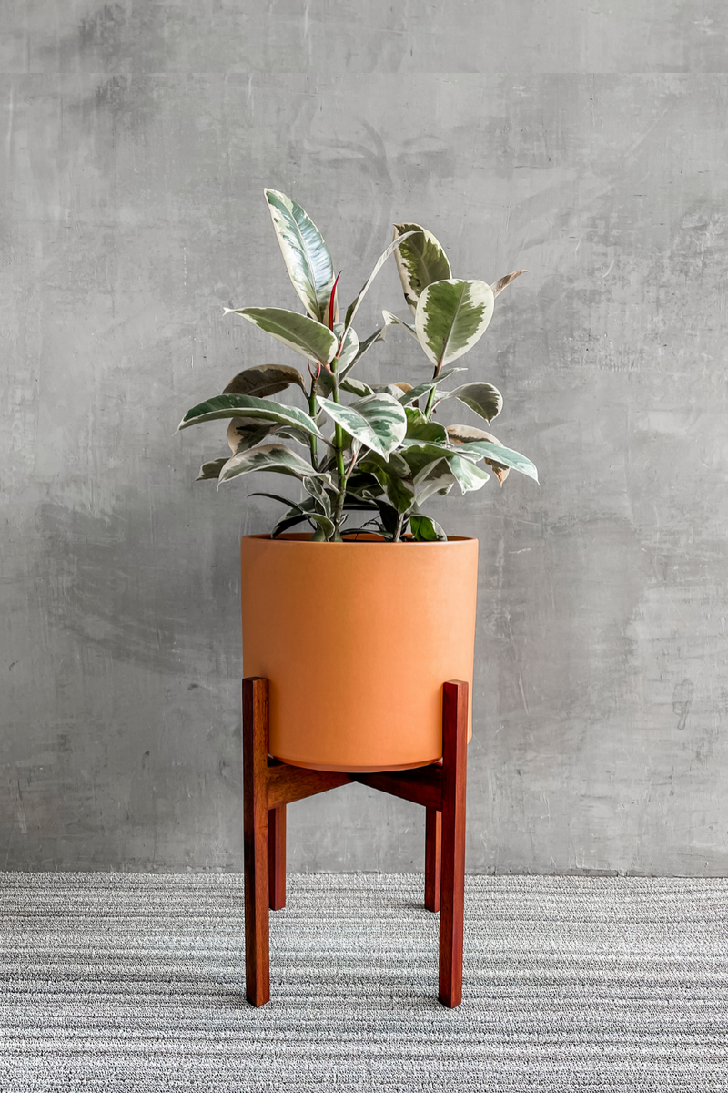 Dark Wood Solid Goods Plant Stand-LBE Design-ECOVIBE