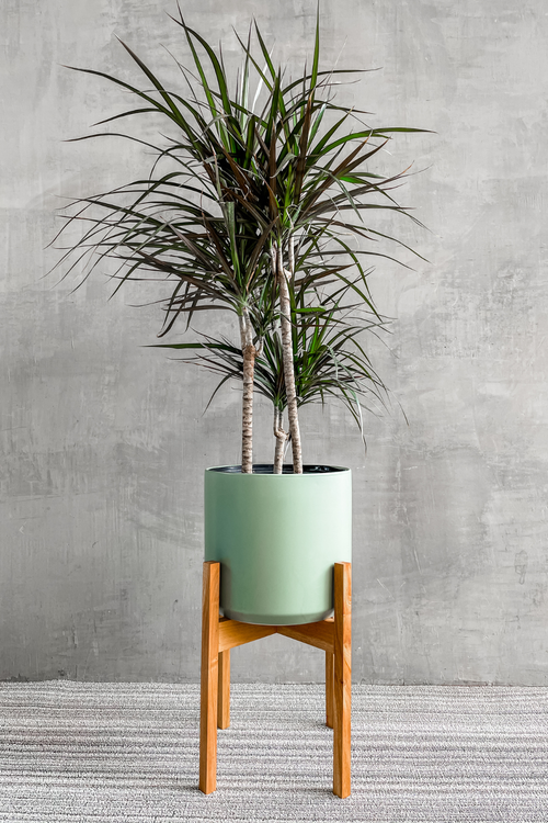 Solid Goods Light Wood Plant Stand