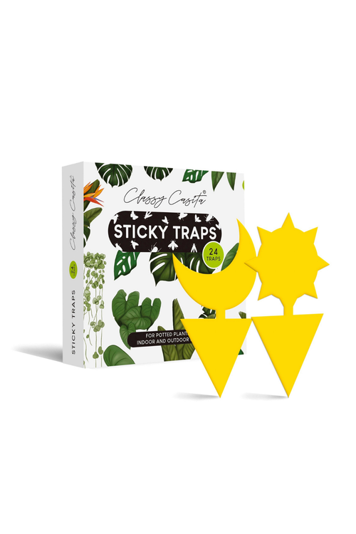 Houseplant Sticky Traps