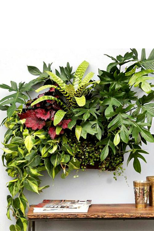 WallyGrow Black Felt Wally Pocket Planter