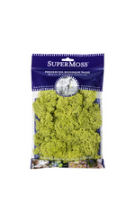1 of 2:Reindeer Moss Preserved, Chartreuse