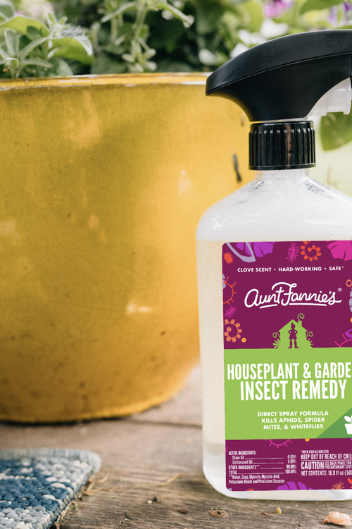 Houseplant + Garden Insect Remedy