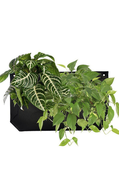 WallyGrow Black Felt Wally Pocket Planter