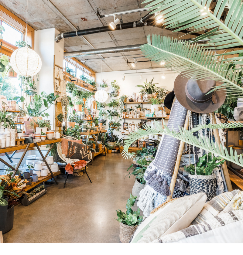 Architectural Digest: 16 of the Best Plant Shops Across the U.S.