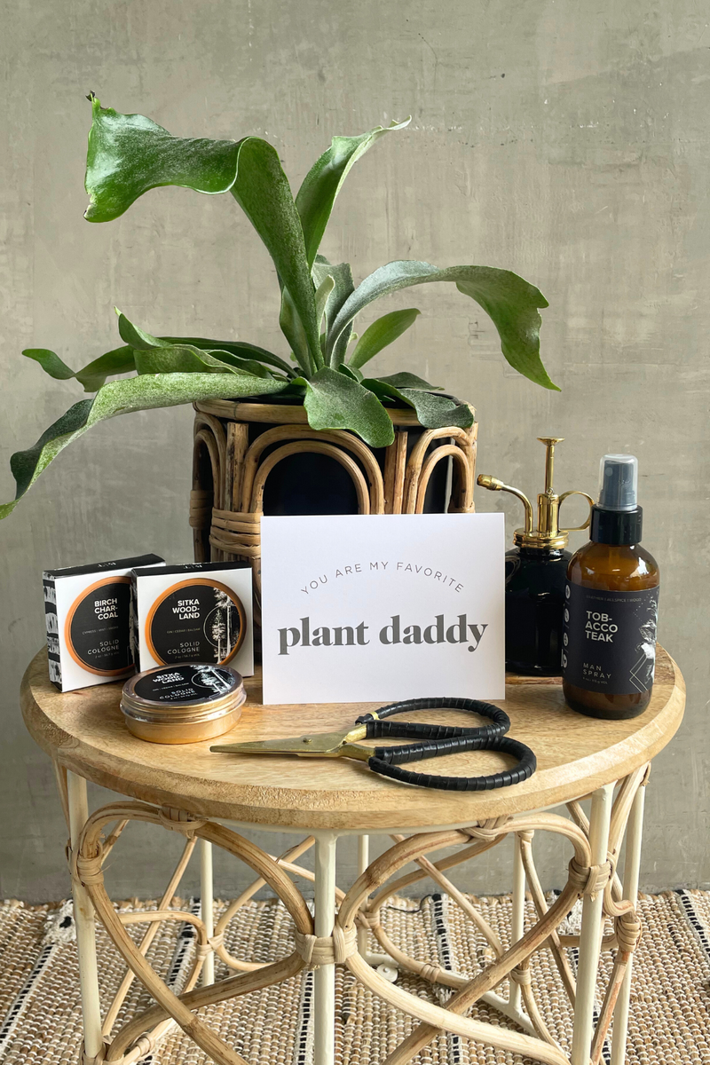 ECOVIBE-Fathers-Day-Gift-Collection