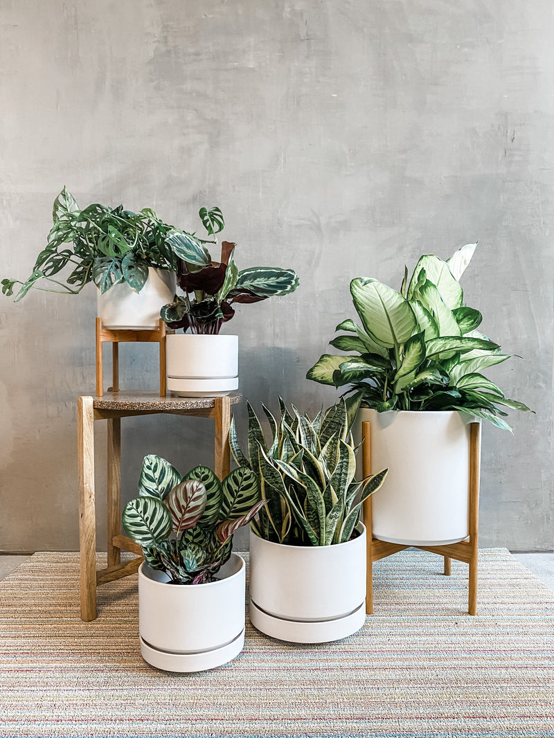 Sustainably Made Revival Ceramics Planters + Stands from  LBE Design