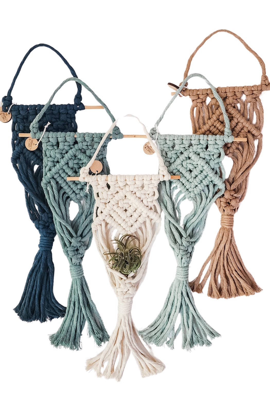 ecovibes plant hanger Macrame Air Plant Hanger – ECOVIBE