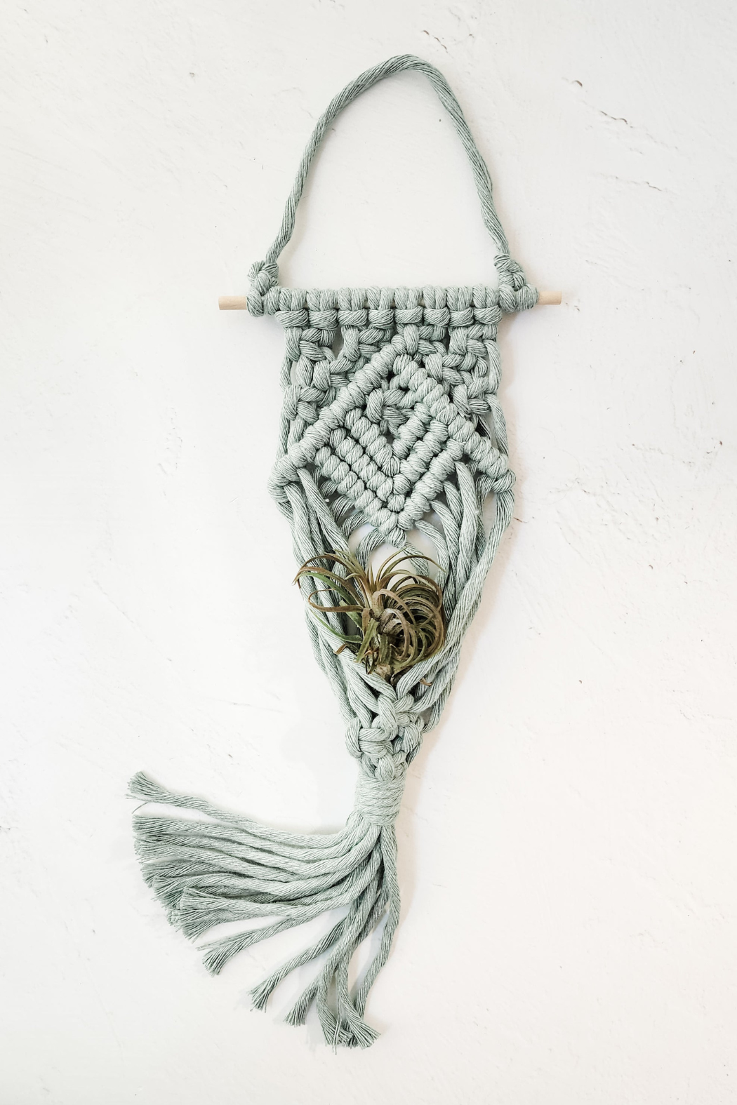 ecovibes plant hanger Macrame Air Plant Hanger – ECOVIBE