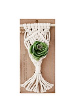 1 of 3:Mini Magnetic Macrame Air Plant Hanger