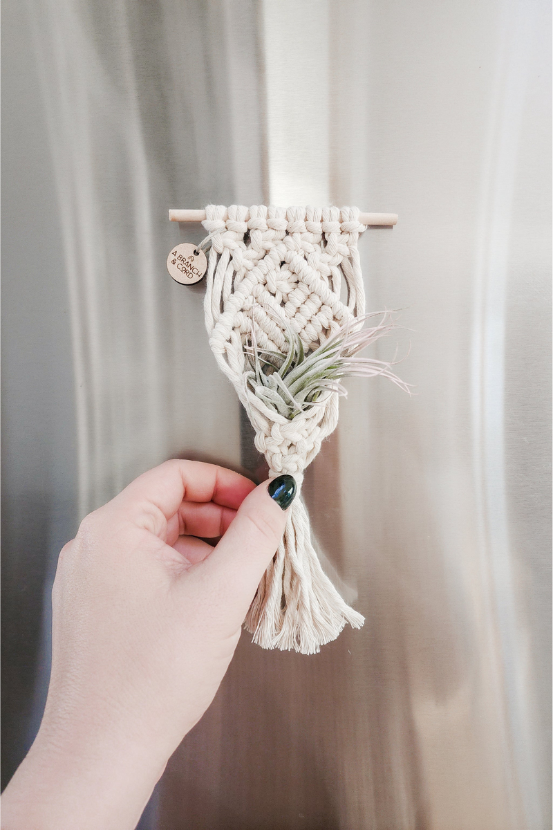 air plant macrame hanger Mini Magnetic Macrame Air Plant Hanger – ECOVIBE