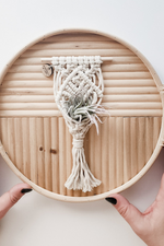 3 of 3:Mini Magnetic Macrame Air Plant Hanger