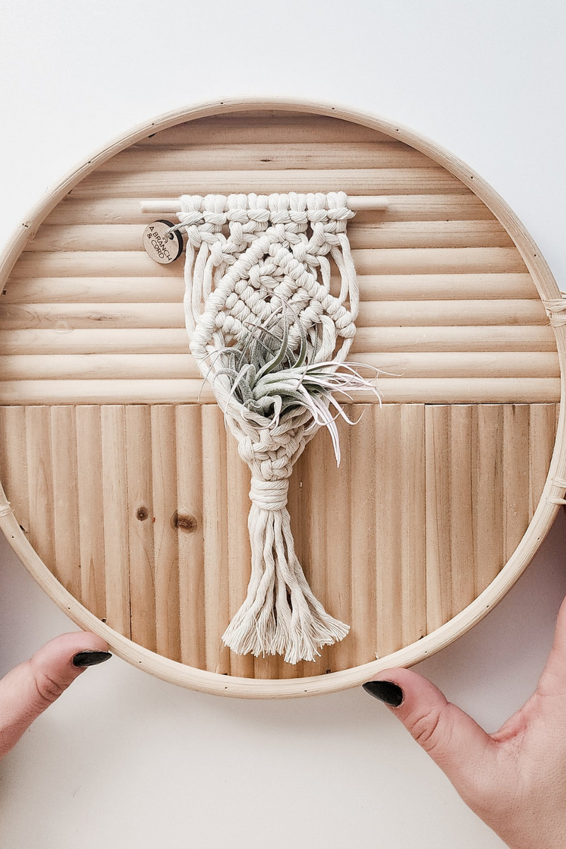 A-Branch-and-Cord-Mini-Magnetic-Macrame-Air-Plant-Hanger