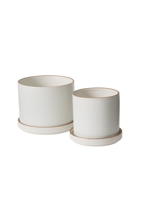Author Pot + Saucer