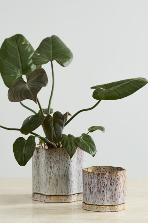 Avenell Ceramic Pot