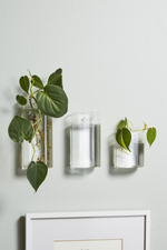 2 of 5:Bergamot Propagation Wall Vase