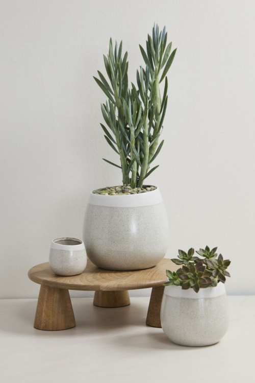 Choice Ceramic Plant Pot