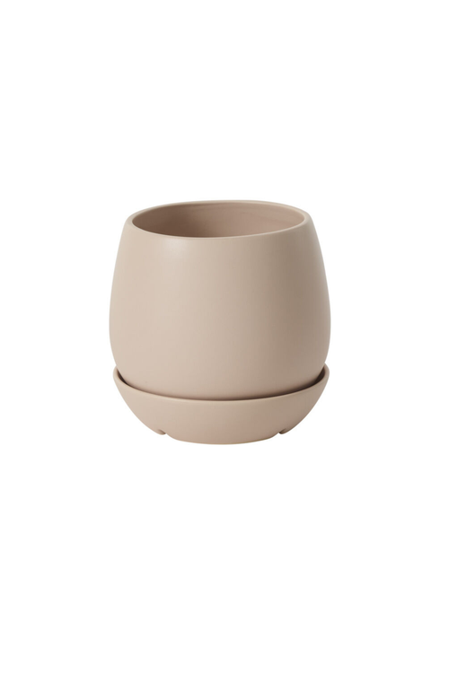 Dalton Pot + Saucer