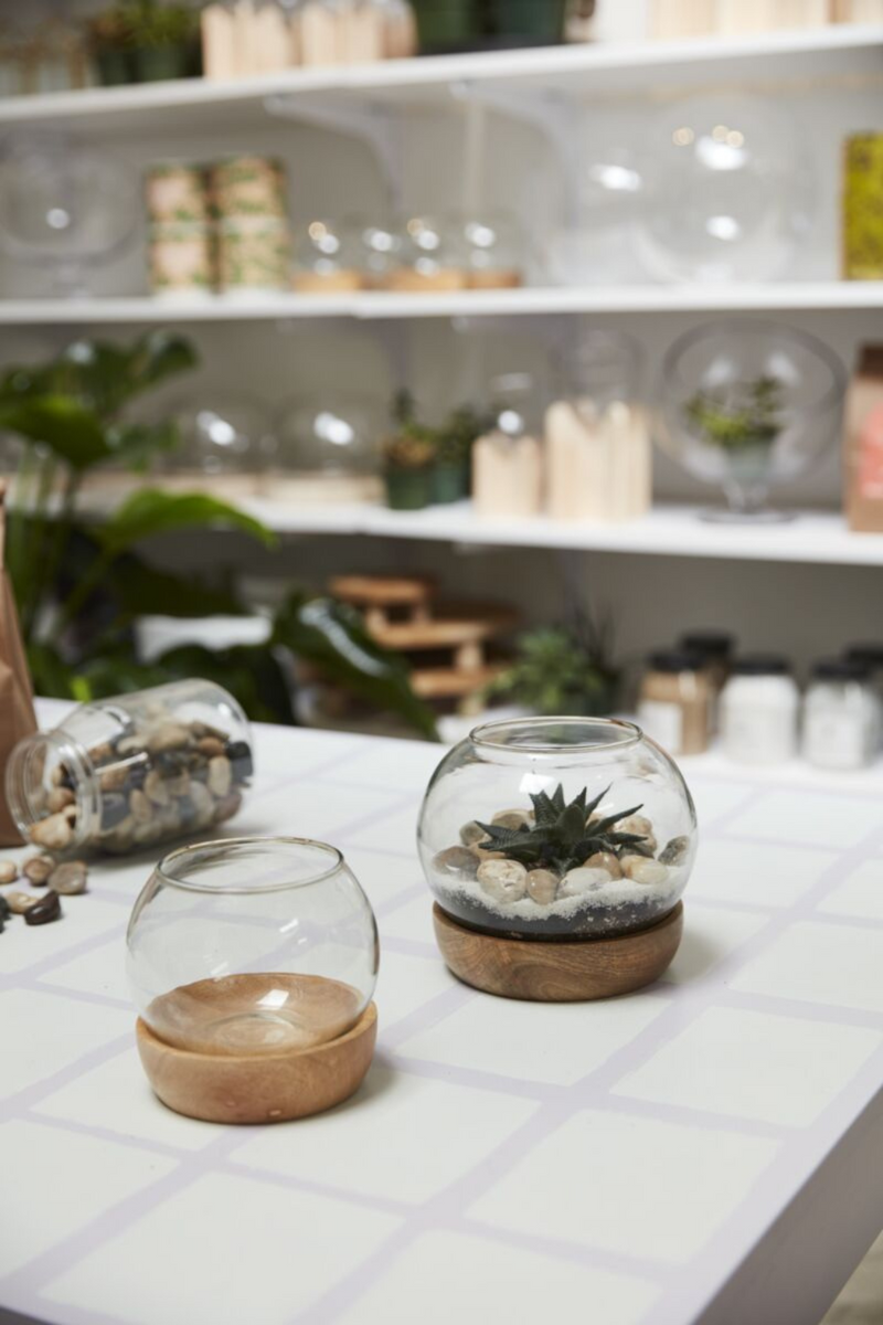 Accent-Decor-Full-View-Terrarium