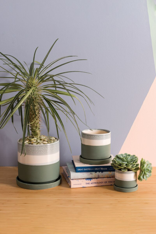 Greer Pot + Saucer