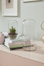 2 of 6:Griffith Glass Terrarium