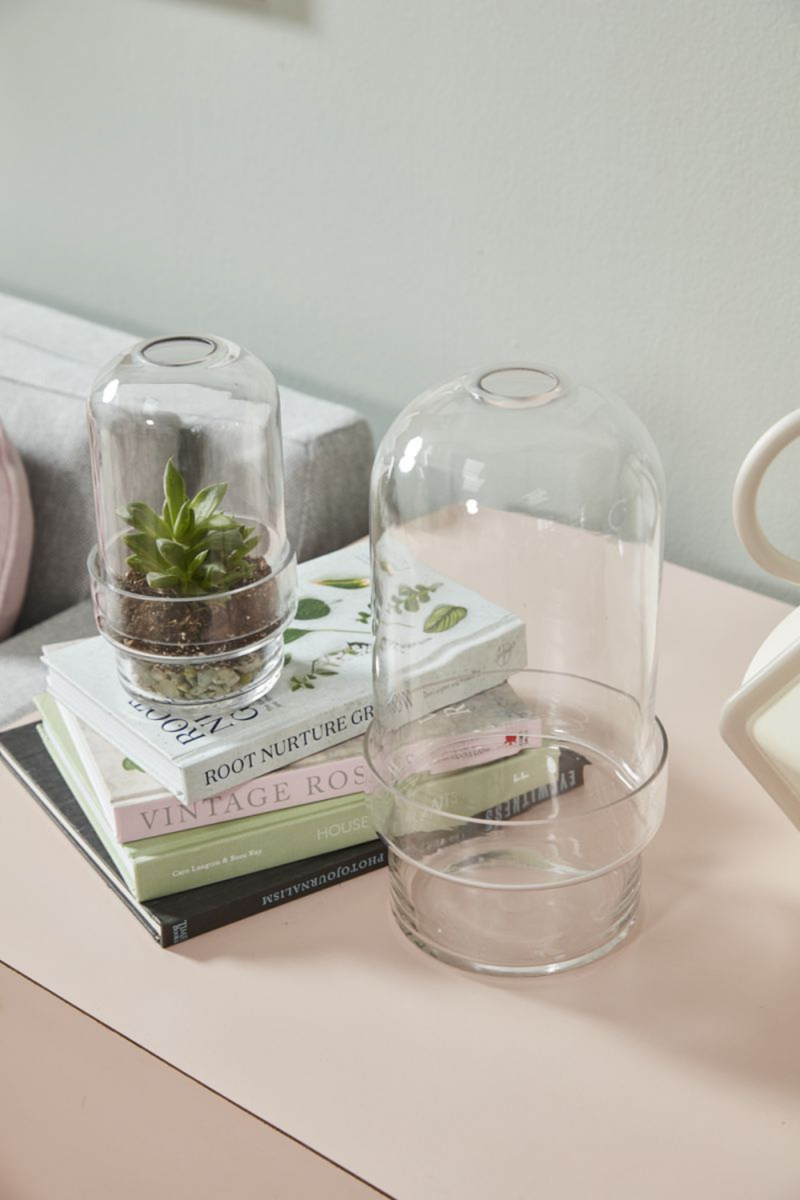 Accent-Decor-Griffith-Terrarium