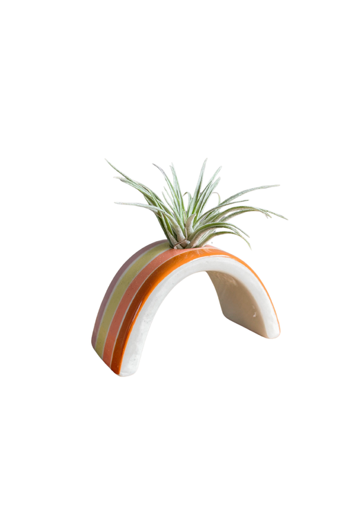 Hope Rainbow Tillandsia Holder