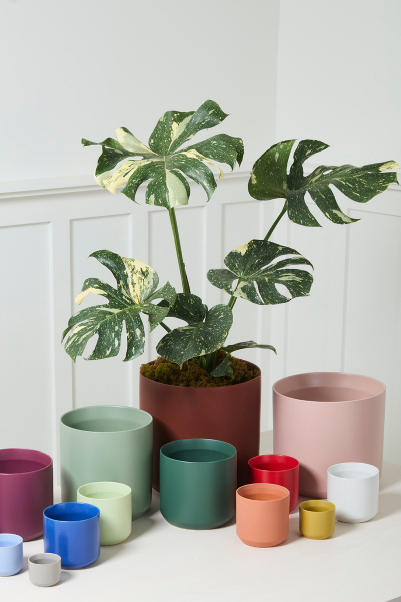 Accent-Decor-Kendall-Pot-in-Dark-Green