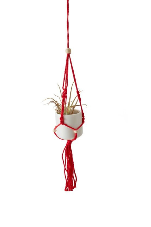 Mini Macrame Tillandsia Holder Ornament