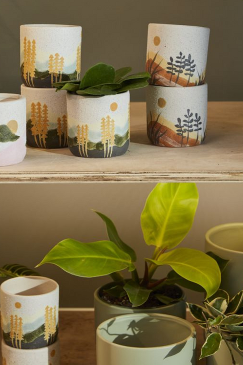 Mojave Pot