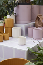 4 of 5:Off-White Beam Ceramic Pot