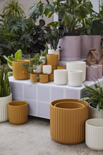 5 of 5:Off-White Beam Ceramic Pot