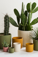 3 of 5:Off-White Beam Ceramic Pot