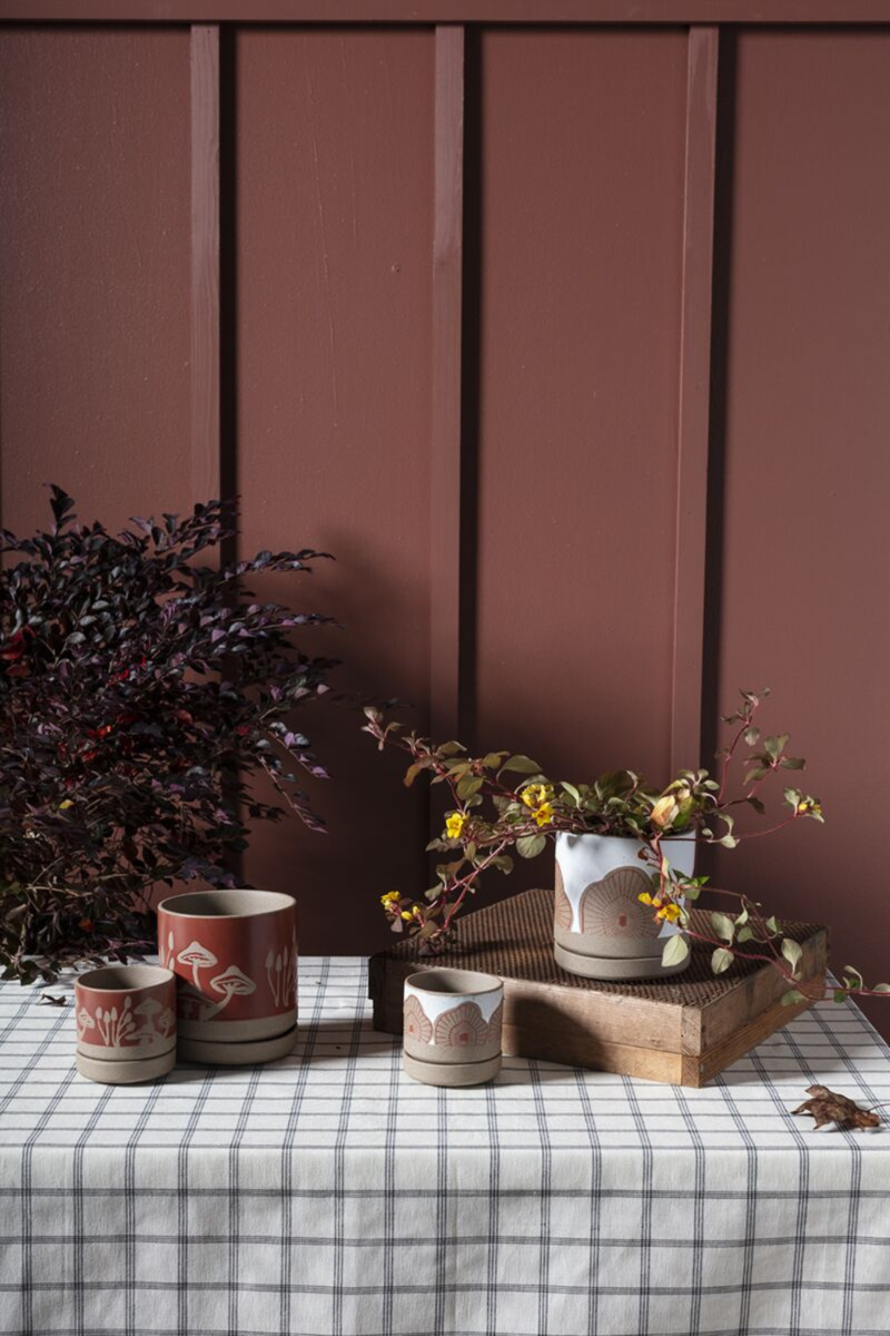Accent-Decor-Protea-Pot-and-Saucer
