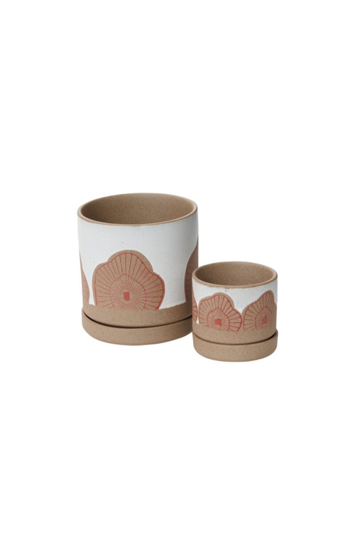 Protea Pot + Saucer