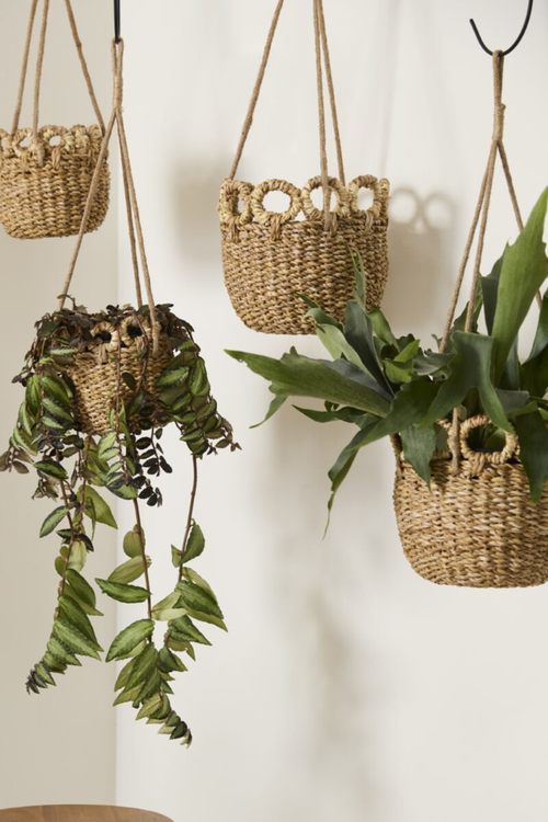 Verse Hanging Basket