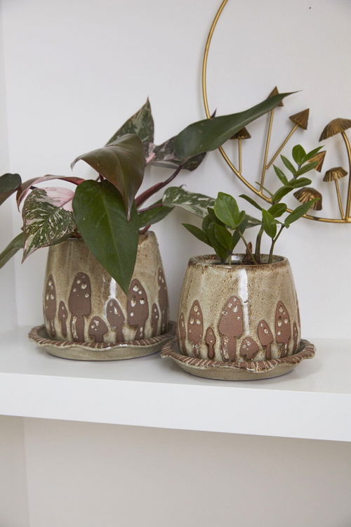 Wild Mushroom Ceramic Pot + Saucer