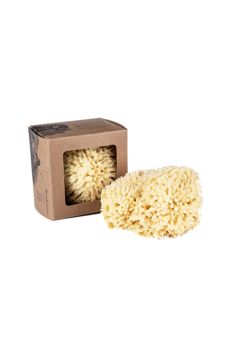 Baudelaire-Natural-Wool-Sea-Sponge-Bath