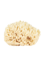 3 of 3:Natural Wool Sea Sponge