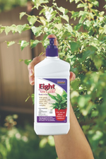 2 of 2:Eight Houseplant Insect Spray