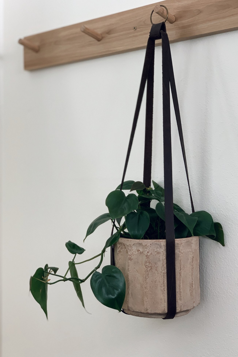    Branch-Collective-Leather-Plant-Hanger