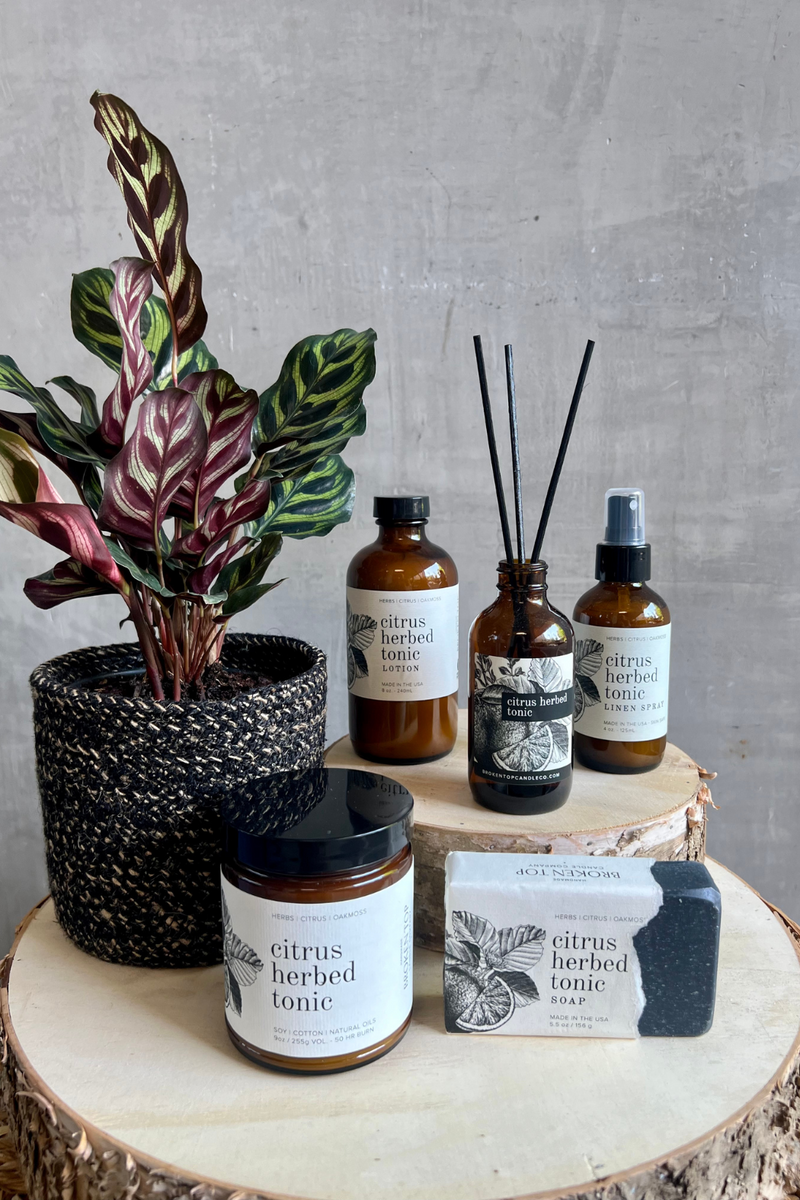 Broken Top Candle Co Citrus Herbed Tonic Collection