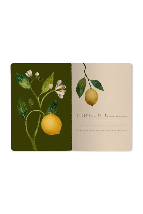 Lemons Notebook