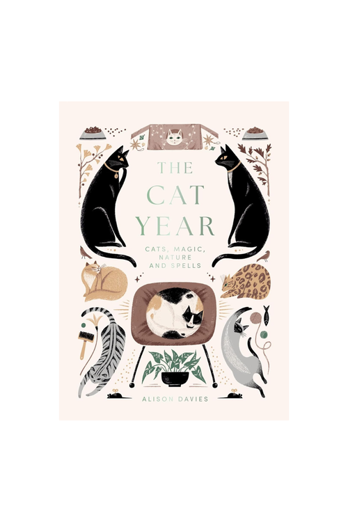 The Cat Year