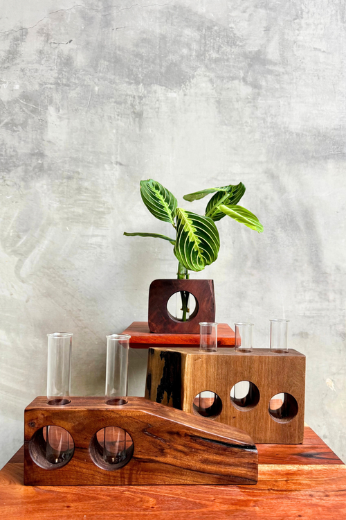 Closed Loop Woodworks Propagation Vase